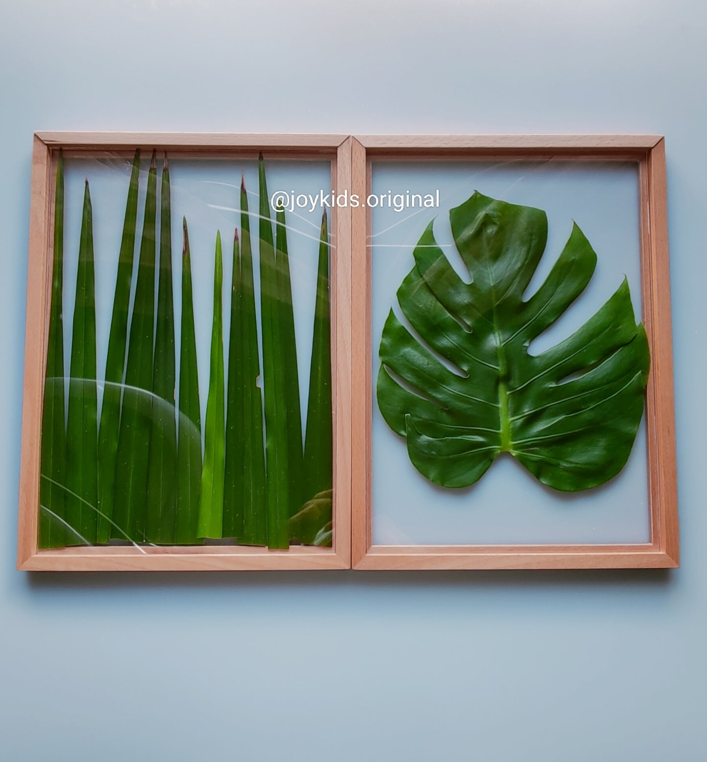 Magnetic Display Frame - Solid BeechWood