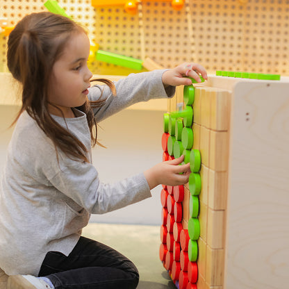 Wooden Matching & Sorting Game