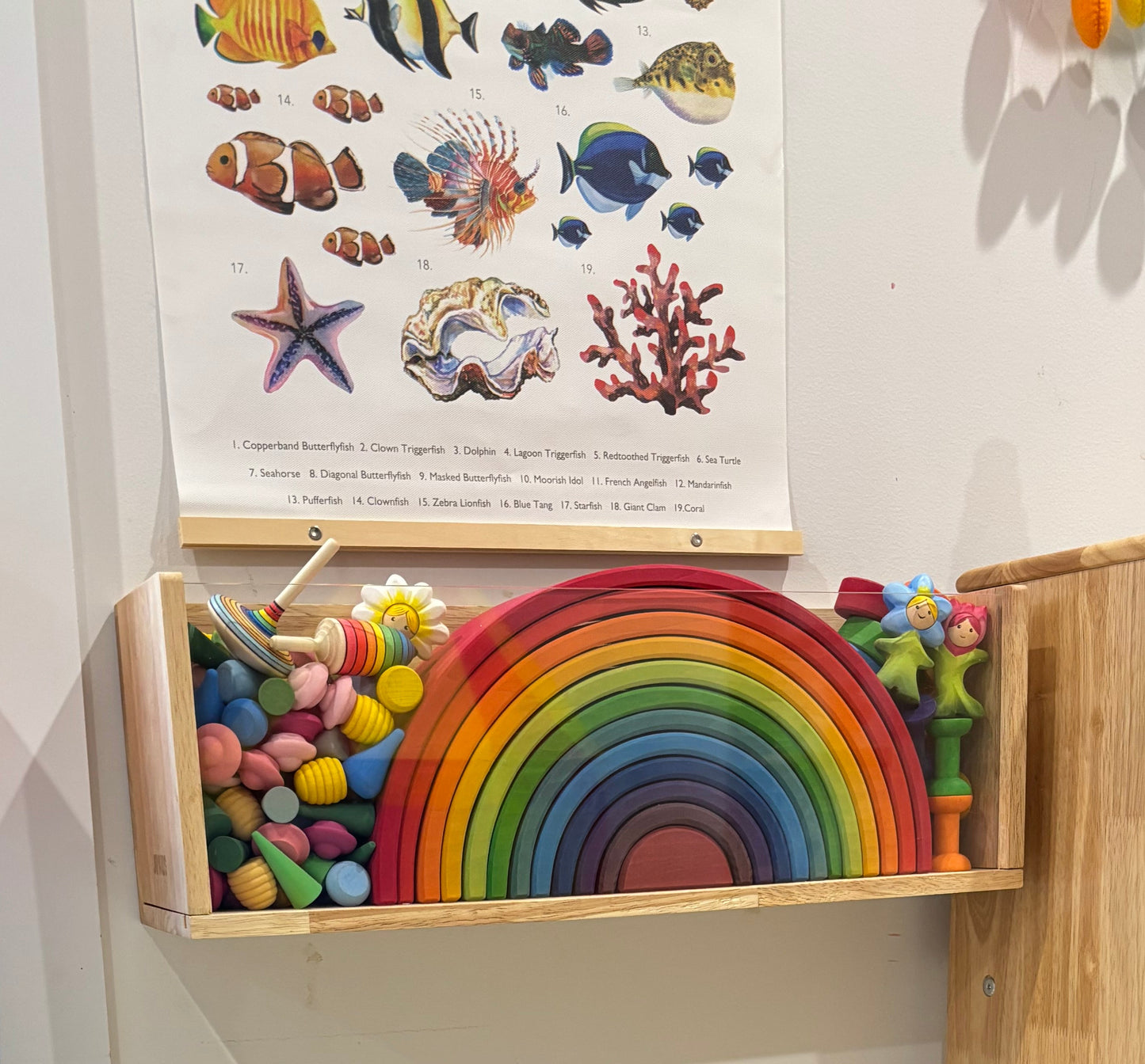 (NEW) Wood-Framed Acrylic Storage Box